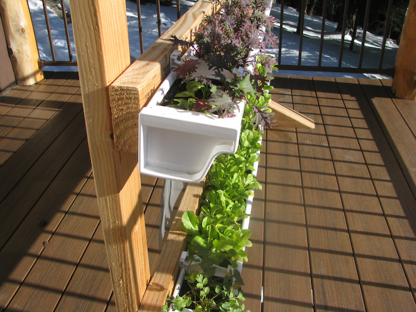 Vertical Gutter Gardens | Peak Prosperity