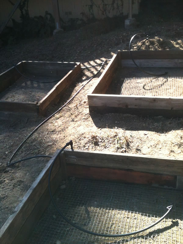 How to Install Raised Garden Beds - The Prepper Journal