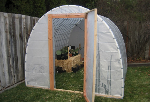 Cattle Panel Greenhouse